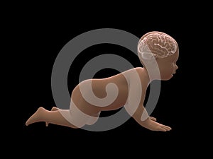 x-ray image of crawling baby with brain inside.3D rendering