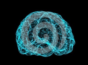 X-ray image of human brain