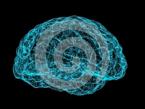 X-ray image of human brain