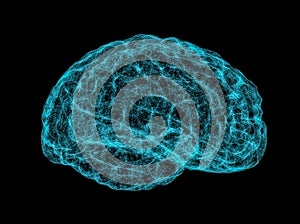 X-ray image of human brain