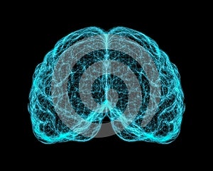 X-ray image of human brain