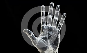 X-Ray Image of a Human Hand with Visible Bones