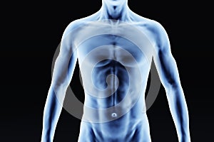 X-ray outline of man upper body, front view of chest and abdomen