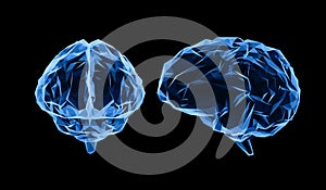 X-ray polygonal brain