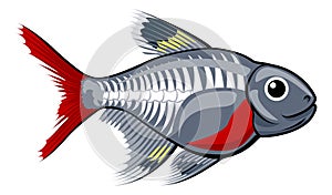 X-ray tetra cartoon fish