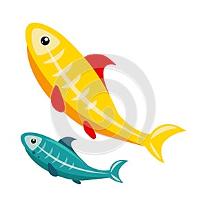 X-Ray Tetra. Funny Alphabet, Animal Vector Illustration