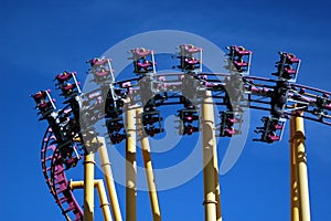 X Roller Coaster