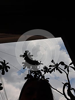 Sillouette afternoon sky view at home photo