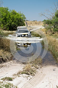 4x4 safari car crossing water with unknown depth in a hot day. Off-road tour moremi national park, okovango river delta photo