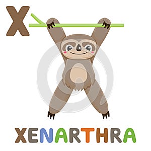 X is for Xenarthra. Letter X. Xenarthra, cute illustration. Animal alphabet