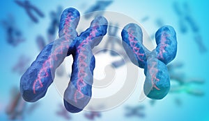 X and Y chromosomes. Genetics concept. 3D rendered illustration photo