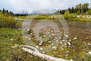 "Schwabacher Landing" at Snake River, Yellowstone National Park, Wyoming, USA