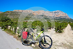 Xabia Javea Montgo vineyards biking MTB