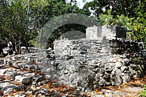 Xaman-Ha, Playacar Mayan Ruins, Mexico photo
