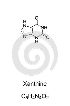 Xanthine, xanthic acid, chemical formula and skeletal structure photo