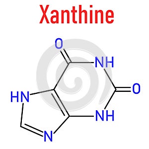 Xanthine purine base molecule. Skeletal formula. Chemical structure