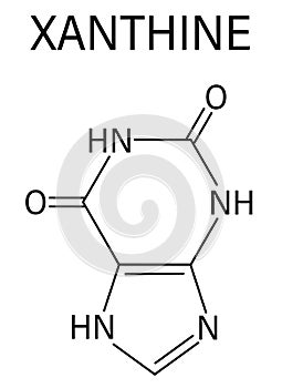 Xanthine purine base molecule. Skeletal formula. Chemical structure photo