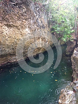 Xel-Ha water park, cenote