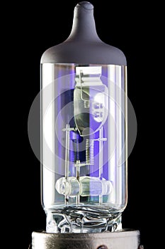 Xenon lamp bulb