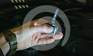 A xenon light bulb in the man's hand. A professional worker changes the new xenon lamps of the car