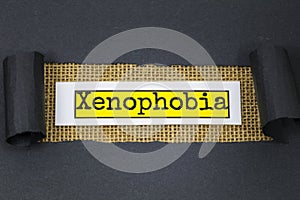 Xenophobia ethnicity racism discrimination human social prejudice equality
