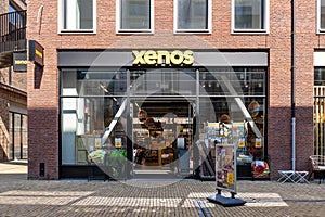 Xenos branch