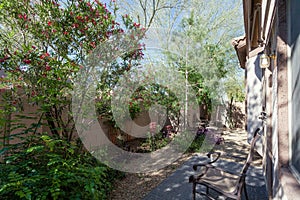 Xeriscaped Desert Style Backyard in Spring photo