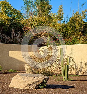Xeriscaping with Desert Gravel, Boulders and Mexican Fencepost Cacti