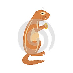 Xerus African ground squirrel holding nut animal cartoon character