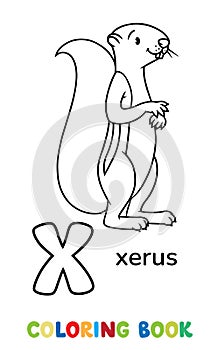 Xerus. Animals ABC coloring book for kids Squirrel