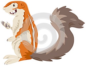 Xerus squirrel cartoon wild animal character