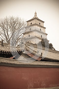 Xi'an big wild goose pagoda