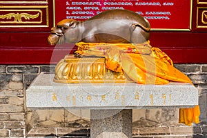 XI'AN, CHINA - AUGUST 5, 2018: Tibetan Buddhist rat in Guangren Lama Temple in Xi'an, Chi