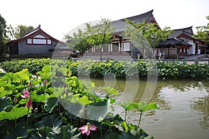 Xi `an datang lotus garden is a famous tourist attraction.