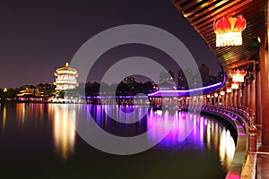 Xi `an datang lotus garden is a famous tourist attraction.