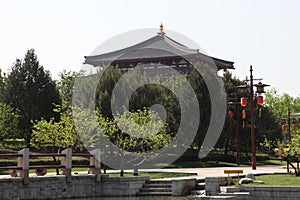 Xi `an datang lotus garden is a famous tourist attraction.