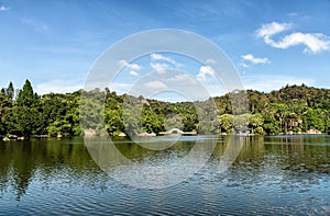 Xiamen botanical garden photo