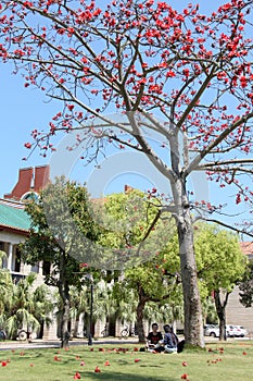 Xiamen University campus in southeast China