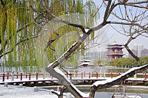 Xian, datang furong garden, shaanxi province