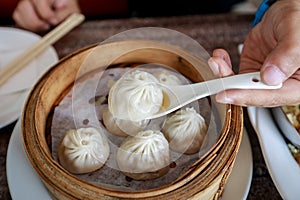 Xiao Long Bao