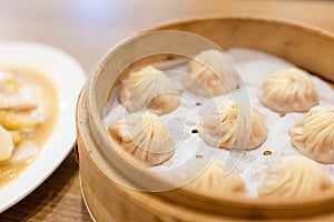 xiao long bao steamed soup dumpling bun