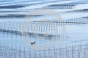 Xiapu Beach of Fujian, China.