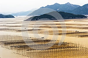 Xiapu Beach of Fujian, China.