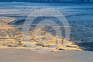 Xiapu tidal flats landscape in early morning