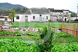 Xidi Village Garden