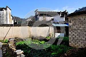 Xidi Village Garden