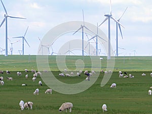 Xilinhot -A big heard of sheep grazing under wind turbines build on a vast pasture in Xilinhot, Inner Mongolia. Natural resources