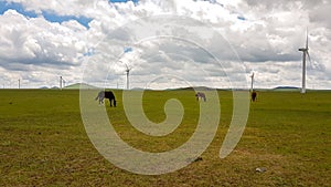 Xilinhot - Heard of horses grazing under wind turbines build on a vast pasture in Xilinhot, Inner Mongolia. Natural resources