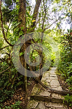 Xilitla ruins in Mexico