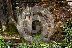 Xilitla ruins in Mexico photo